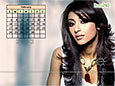 Calendar Wallpaper 2013