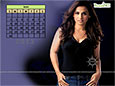 Calendar Wallpaper 2013