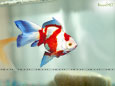 Fish Wallpaper