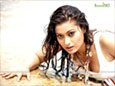 Bengali Film Stars Wallpaper - Wallpaper of Ananya Chatterjee