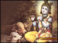 Krishna Kanhaiya  wallpaper