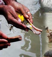 know more about Durgapuja Mahalaya